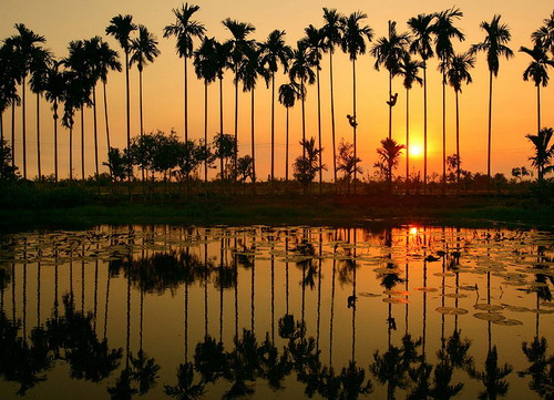 Chiều quê